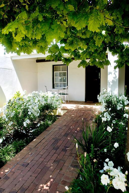 סטלנבוש Knorhoek Country Guesthouse מראה חיצוני תמונה
